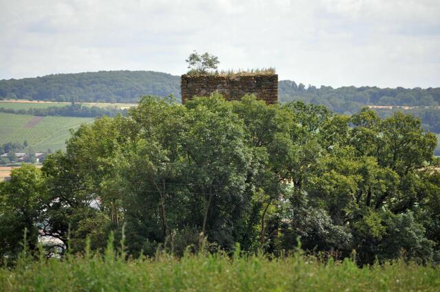 Blick auf den Bergfried von Burg Ehrenberg. | Foto: Daniela Somers