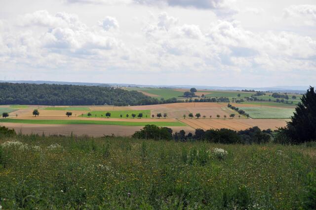 Wir wandern durchs hohe Gras mit einem wunderschönen Ausblick | Foto: Daniela Somers