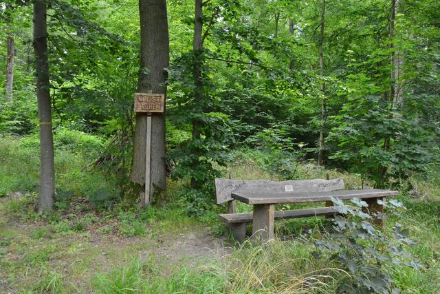 Wer seine Ruhe sucht, ist hier richtig. | Foto: Michael Harmsen