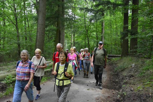  Das schwüle Wetter bringt uns zum schwitzen. | Foto: Michael Harmsen