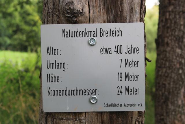 Info | Foto: Ralf Röser