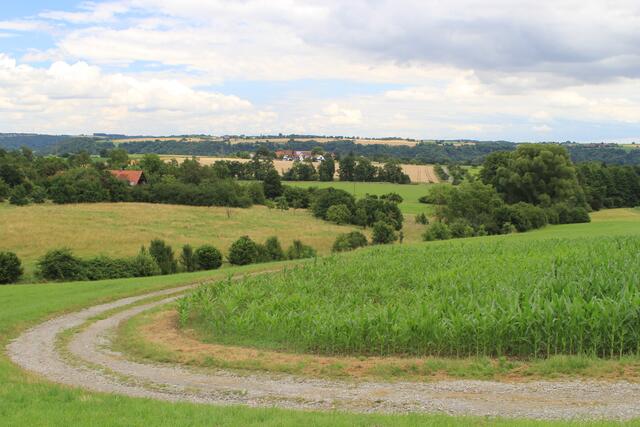 Ausblick | Foto: Ralf Röser