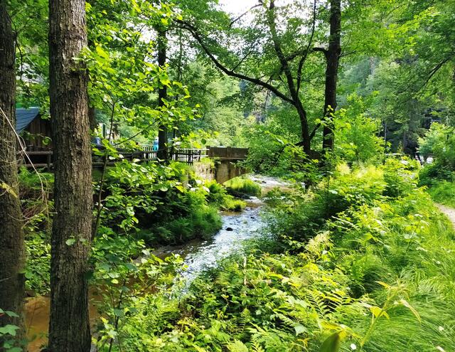 Dort vorn werden wir die Brücke queren und dann im Biergarten der Neumannmühle einkehren. 
Schön waren diese Tage auf dem Malerweg. 

Byebye, wir kommen wieder 😀 | Foto: sigischlottke