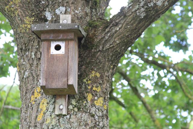 schönes am Wegesrand😍 | Foto: Ralf Röser