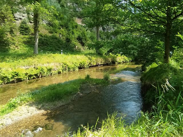 Im Kirnitzschtal angelangt. Der Fluss wird nun unseren Weg begleiten.  | Foto: sigischlottke