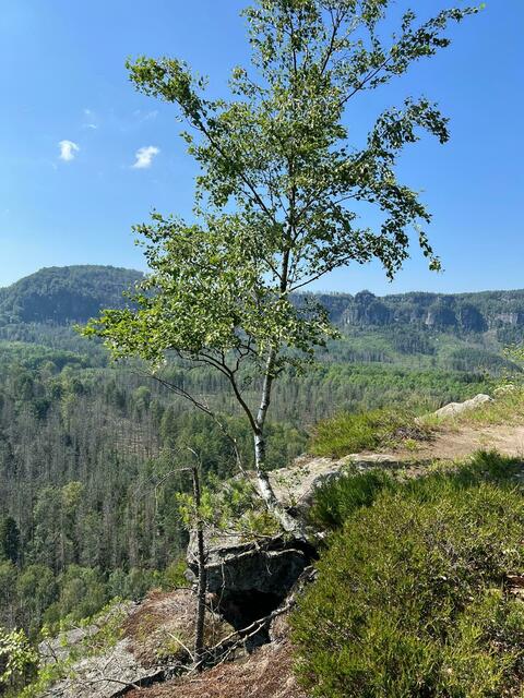 Aussicht vom "Dach des Kuhstalls" | Foto: Lothar Winkler