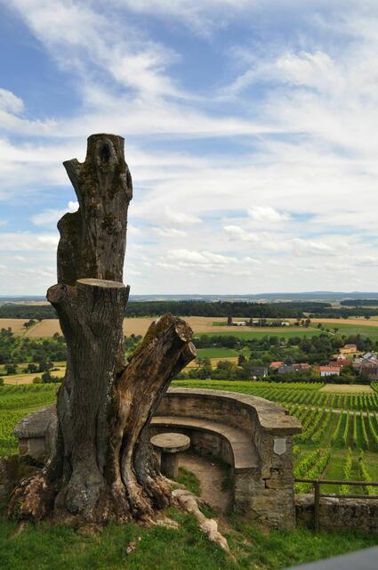 Aussichtsplattform. Die alte Linde ist leider gestorben. | Foto: Daniela Somers