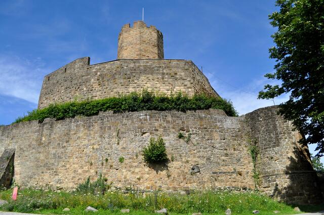 Rund um die Burg wurden Blühstreifen für die Insekten angelegt.  | Foto: Daniela Somers