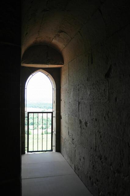 Ausblicke vom Turm. Gesichert mit Drahtnetz. | Foto: Daniela Somers