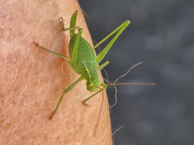 Foto: Heidrun Rosenberger