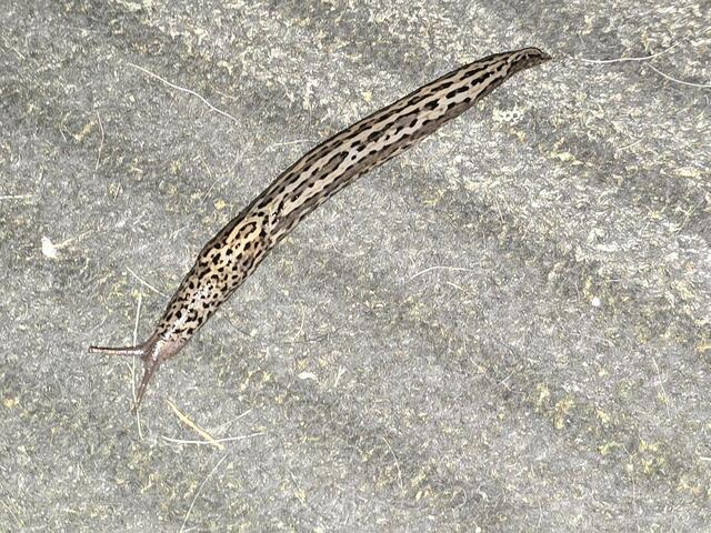 Foto: Heidrun Rosenberger