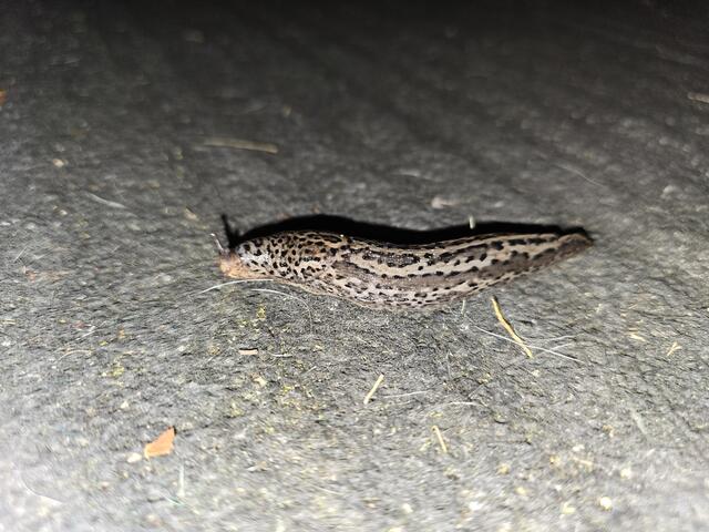 Foto: Heidrun Rosenberger