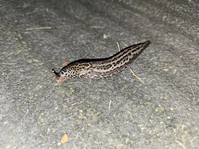 Foto: Heidrun Rosenberger