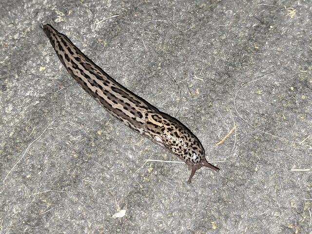 Foto: Heidrun Rosenberger