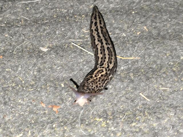 Foto: Heidrun Rosenberger