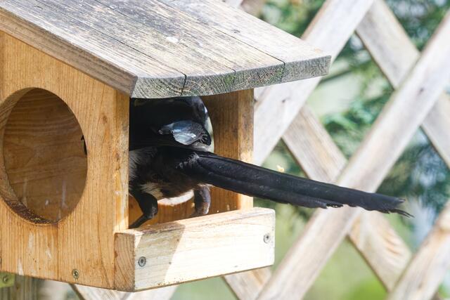 Notausgang  | Foto: WKY