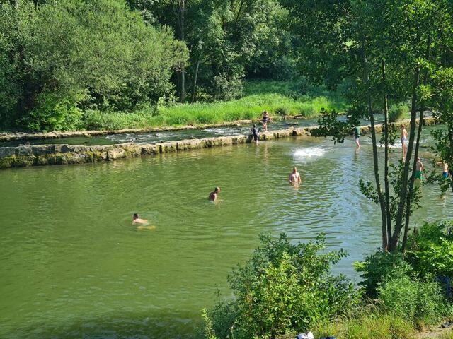 Foto: Fischereiverein Neckarsulm und Umgebung e.V.
