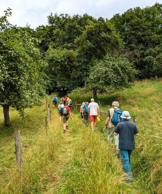 Auf Graswegen geht es wieder hoch nach Trauzenbach. | Foto: Isolde Reitz