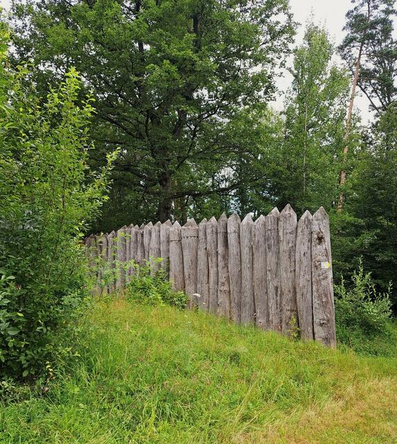 Hier beginnt der erste Limeslehrpfad Baden Württembergs, der über Mainhardt, Pfedelbach bis nach Öhringen führt. Limespfad mit Graben, Palisaden und Wall. | Foto: Isolde Reitz