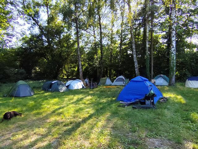 Foto: Fischereiverein Neckarsulm und Umgebung e.V.