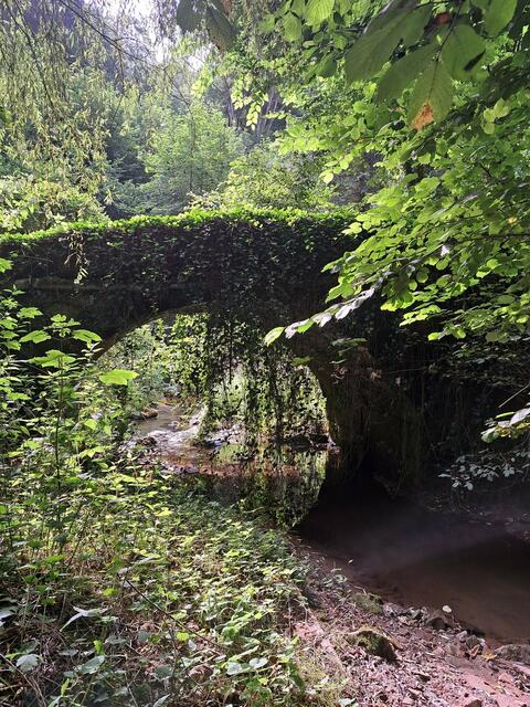 Eine sehr beschauliche und verwachsene alte Steinrundbogenbrücke bei der Hördter Mühle. | Foto: Isolde Reitz