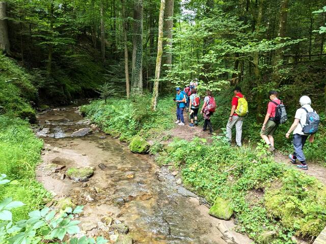 Schatten und Abkühlung spendete der urige Waldpfad entlang des  wildromantischen Baches. | Foto: Isolde Reitz