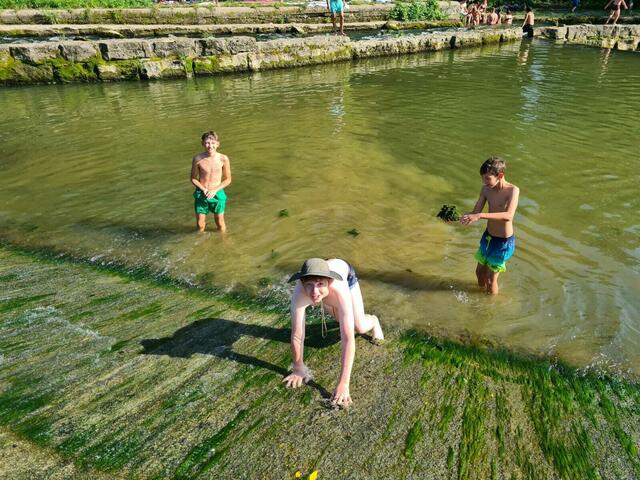 Foto: Fischereiverein Neckarsulm und Umgebung e.V.