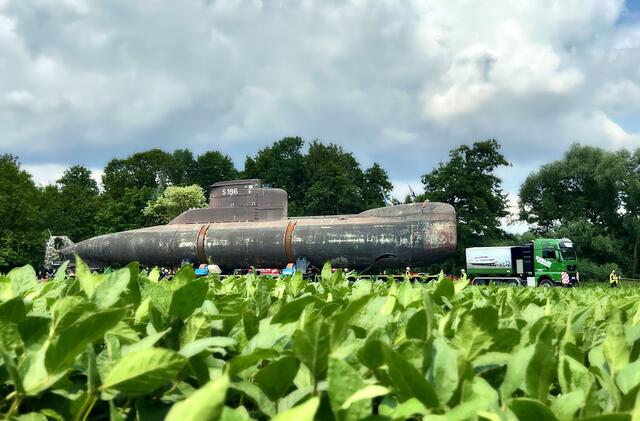 Ein U-Boot pflügt durchs Bohnenfeld:-) | Foto: Moni Bordt