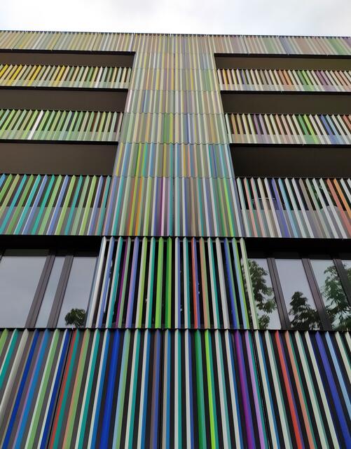 Die bunte Fassade des Marrahauses | Foto: sigischlottke