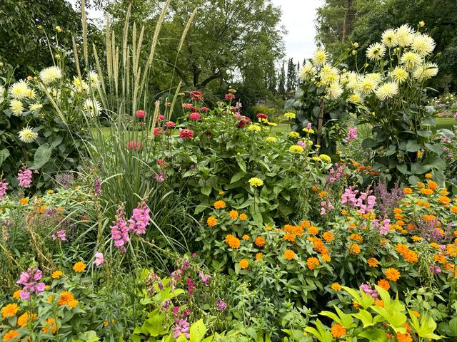 Foto: Heide Böllinger aus Bad Friedrichshall