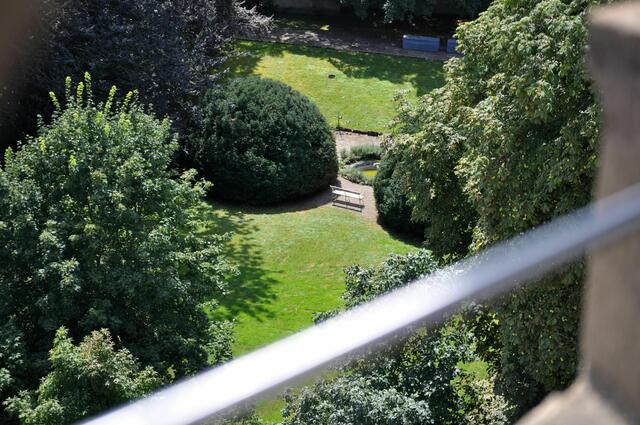 Blick in den Park der Villa Mertz. Wenigstens ein bisschen von dem Park konnte ich so sehen. Von unten sieht man ja fast nichts davon. | Foto: Daniela Somers