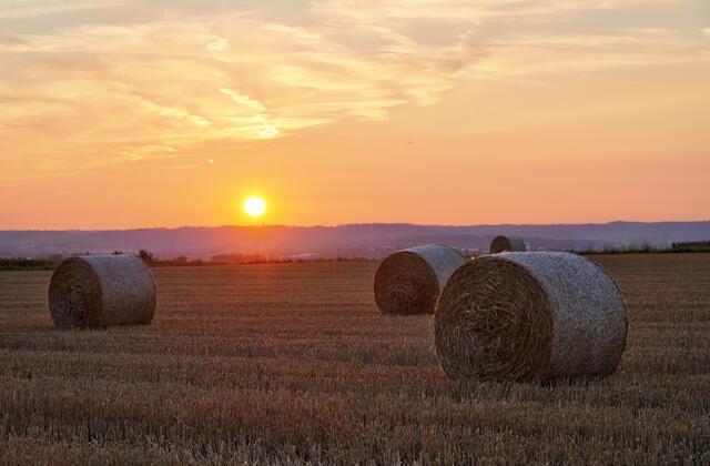 Strohballen bei Sonnenuntergang | Foto: Ulrich Seidel