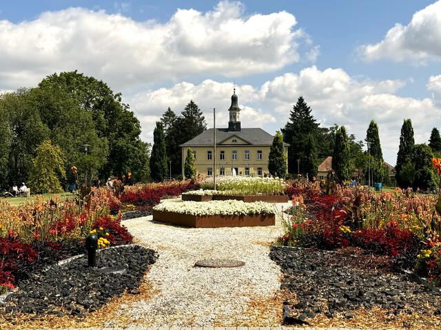 Foto: Heide Böllinger aus Bad Friedrichshall