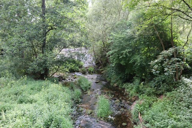 Die Gronach bei der Hammerschmiede | Foto: Marga Specht