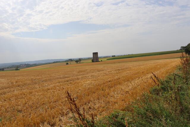 Anhäuser Mauer (Rest eines ehemaligen Klosters) | Foto: Marga Specht