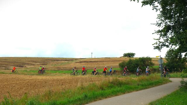An abgeernteten Getreidefeldern vorbei, geht es auf Feldwegen nach Löchgau. | Foto: Isolde Reitz