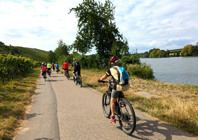 Unterhalb des Krappenfelsens am Neckar entlang, Richtung Neckarwestheim. | Foto: Isolde Reitz
