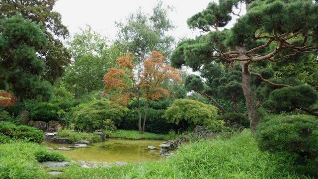 Der Japangarten ist ein schöner Ort zum Entspannen. | Foto: Isolde Reitz