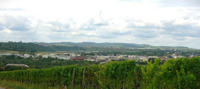 Blick über das Kirchheimer Industriegebiet zum Stromberg und dem Michaelsberg. | Foto: Isolde Reitz