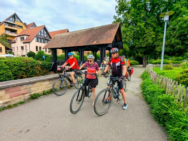 Bei der Metter- Holzbrücke, die vom Grün des Japangartens umrahmt wird. | Foto: Isolde Reitz