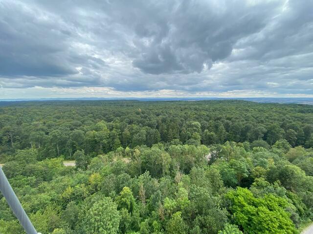 Von oben schweift der Blick über die weite Landschaft des Schönbuchs.  | Foto: Beate Bonte