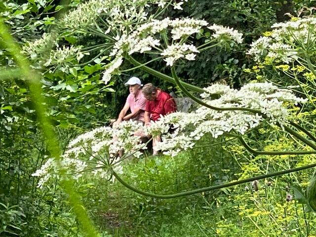 Vesperpause am See. Die Männer haben ein tolles Plätzchen ergattert.  | Foto: Beate Bonte
