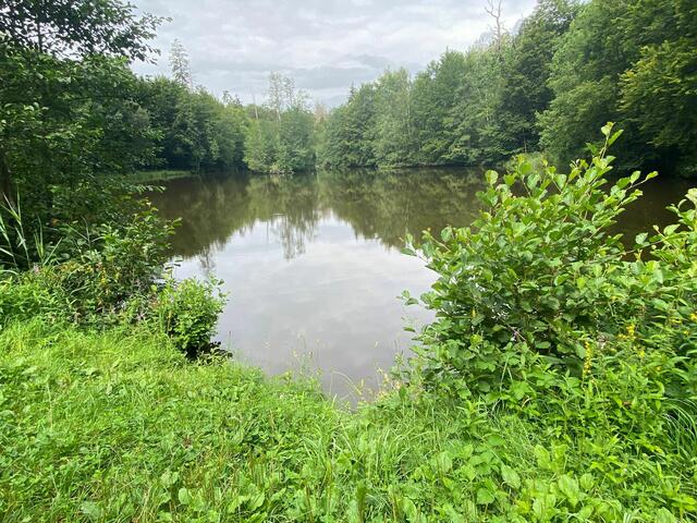 Einer der ruhigen und beschaulichen Weiher auf der Tour.  | Foto: Beate Bonte