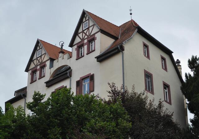 Das alte Mosbacher Schloss von der Rückseite. | Foto: Daniela Somers