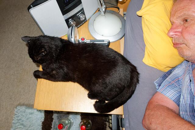 Heute schlaf ich mal auf dem Nachttisch! | Foto: WKY