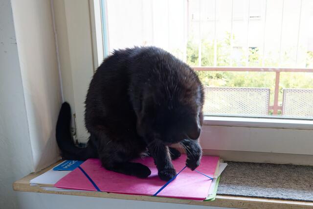 Ein schönes Spielzeug | Foto: WKY