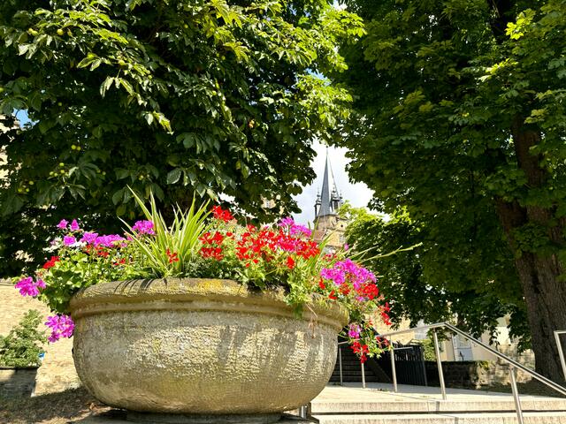 Foto: Heide Böllinger aus Bad Friedrichshall