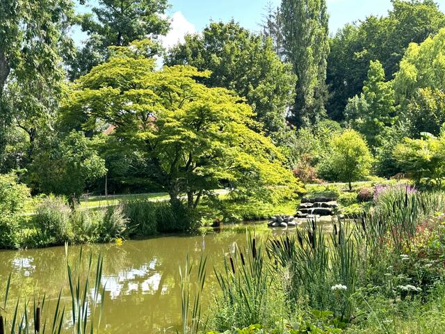 Foto: Heide Böllinger aus Bad Friedrichshall
