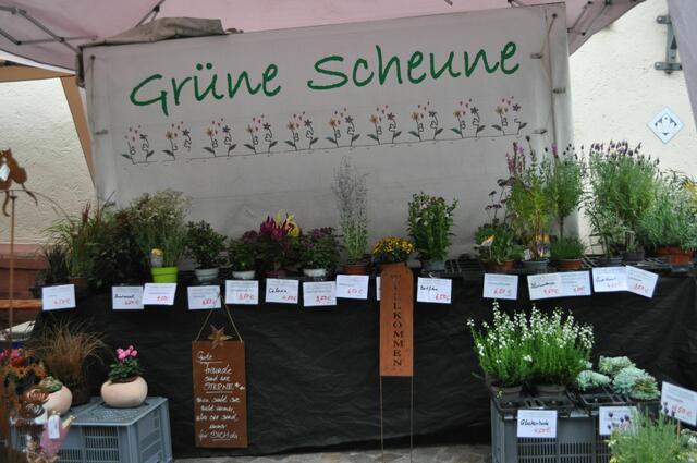 Schon alleine auf dem Markt könnte man sich recht lange aufhalten. | Foto: Daniela Somers