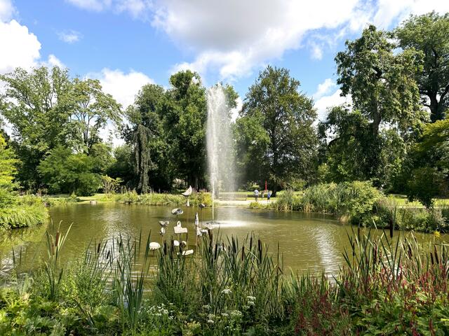 Foto: Heide Böllinger aus Bad Friedrichshall